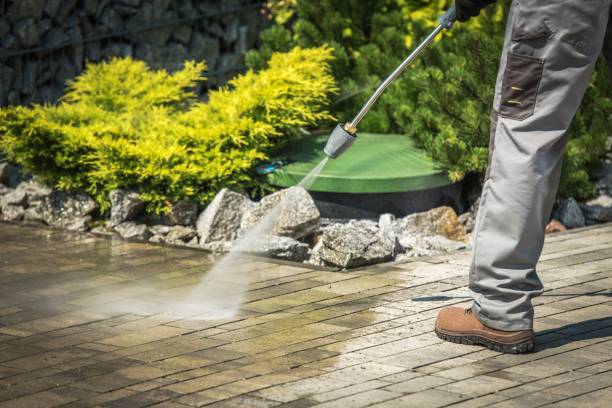 Best Oil Spill Cleanup  in Safety Harbor, FL