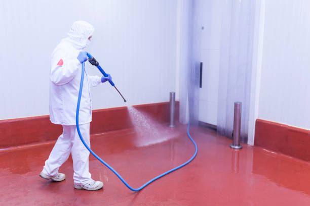 Best Graffiti Removal  in Safety Harbor, FL