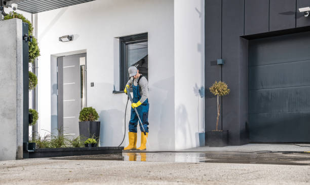 Best Building Exterior Washing  in Safety Harbor, FL
